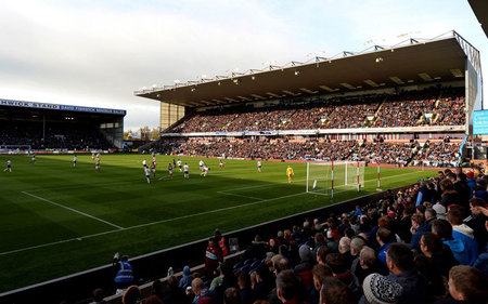 了一个鲜活 了一个鲜活